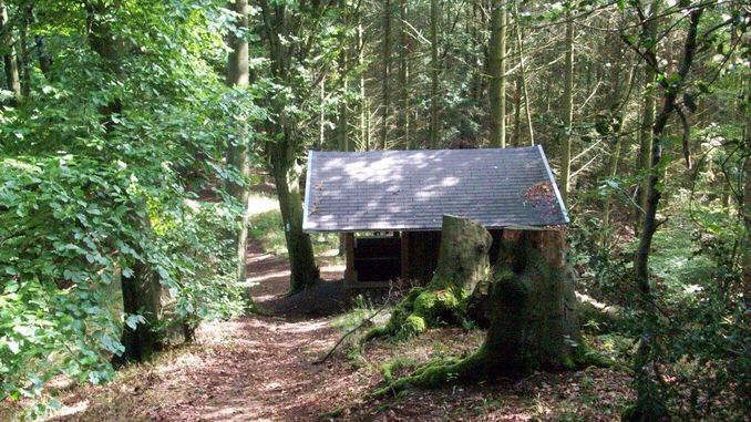 Breiberg, Siebengebirge, Königswinter