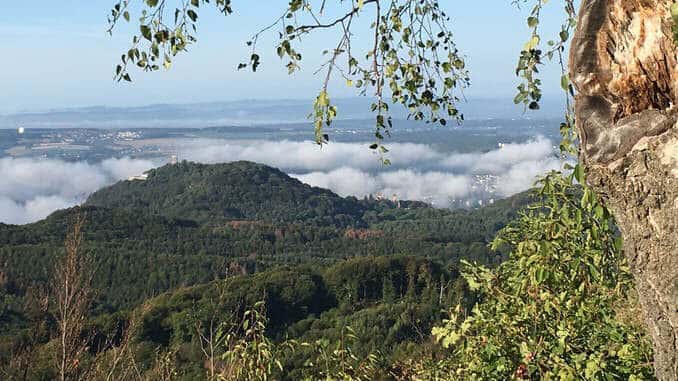 Drachenfels Siebengebirge, vista del Ölberg