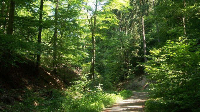 Valle Einsiedlertal Siebengebirge, Bad Honnef