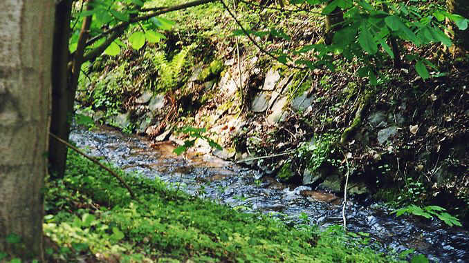 Arroyo Mirbesbach, Siebengebirge, Königswinter