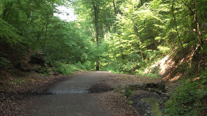 Nachtigallental Siebengebirge, Königswinter