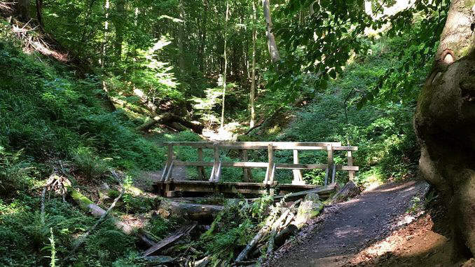 Tretschbachtal Siebengebirge, Königswinter