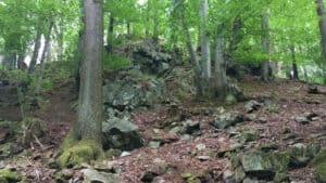 Bosque de talus, Lohberg, Siebengebrge